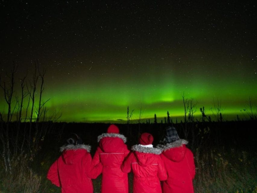 Anchorage: Nighttime Northern Lights Tour - How the Tour Goes Into the Wilderness