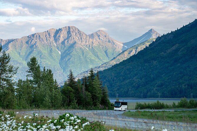 Anchorage to Whittier Direct Transfer Tour - Scenic Views Along the Seward Highway and Turnagain Arm