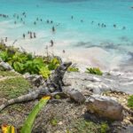 Ancient adventure, visit Tulum Ruins with ZIPLINES, a UNDERGROUND CENOTE &Buffet - The Thrill of Jungle Ziplining in Riviera Maya