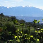 Ancients and Ottomans - Apollonia and Berat - The Art and Culture at Onufri Museum in Berat