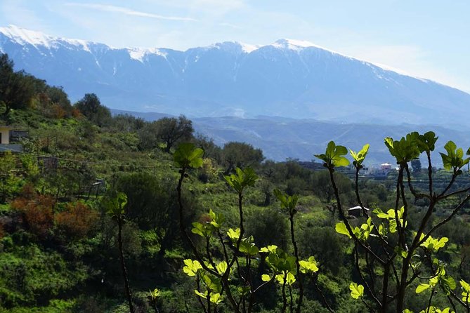Ancients and Ottomans - Apollonia and Berat - The Art and Culture at Onufri Museum in Berat