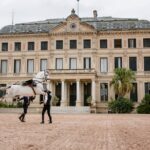 Andalusian Horses Dance Show - Visit the Royal Andalusian School of Equestrian Art in Jerez