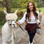 Andover, VT: Alpaca Interaction and Walk Experience - What You Can Expect During the Alpaca Interaction