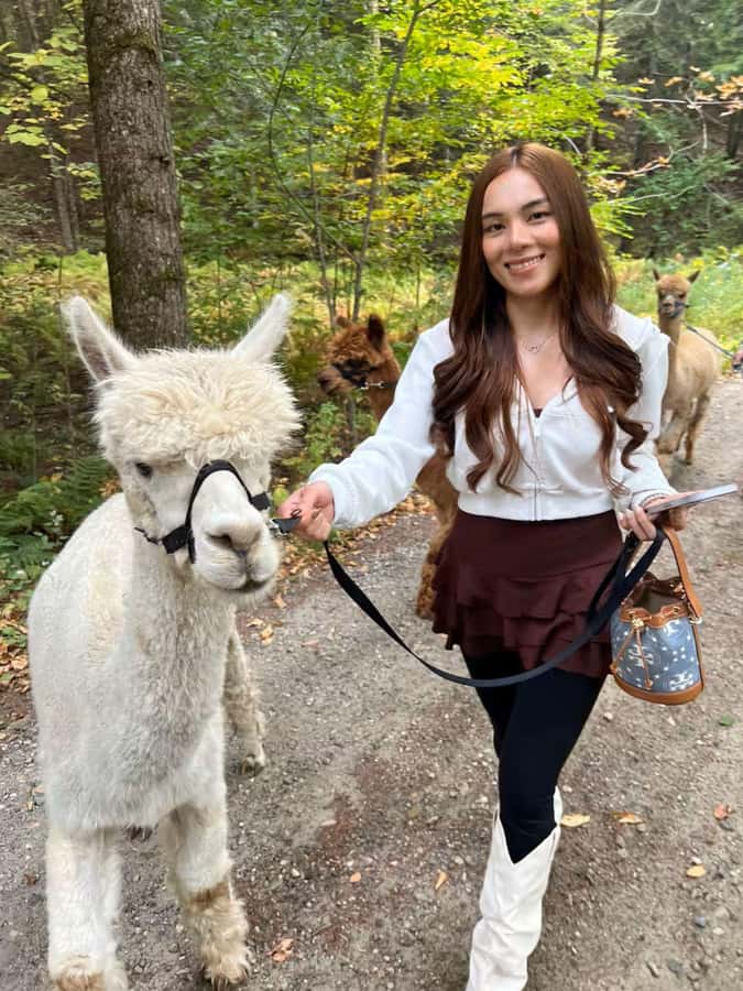 Andover, VT: Alpaca Interaction and Walk Experience - What You Can Expect During the Alpaca Interaction