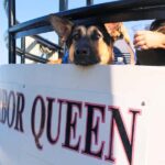 Annapolis Sunset Cruise - Scenic Views of Annapolis Harbor and the U.S. Naval Academy