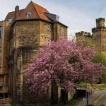 Annual Admission Newcastle Castle Ticket - Details of the Newcastle Castle Entrance Ticket