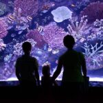 Antalya Aquarium, Wax Museum, Snow World, Wild Park, XD Cinema - Face2Face Wax Museum: Meet Celebrities Up Close