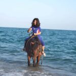 Antalya: Horse Riding on Sea and in the Forest - Scenic Routes: Forest, Riverside, and Seaside