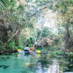 Apopka: Rock Springs Clear Kayak Tour - Paddling in the Emerald Cut: The Crystalline Stretch