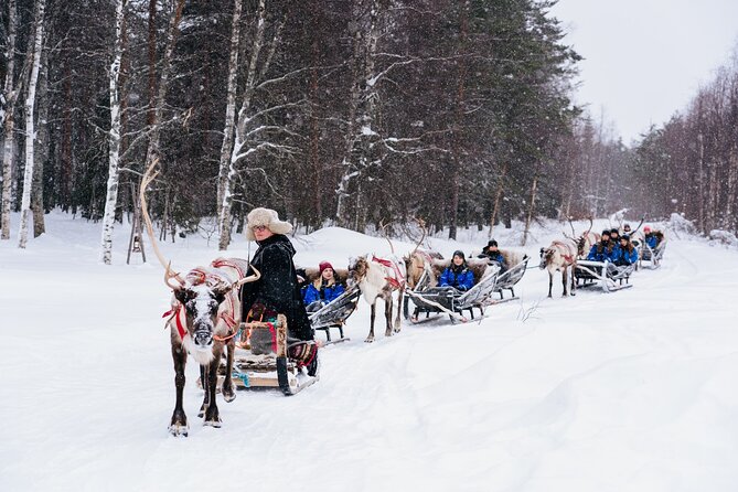 Apukka Reindeer Journey - What’s Included: Warmth and Comfort