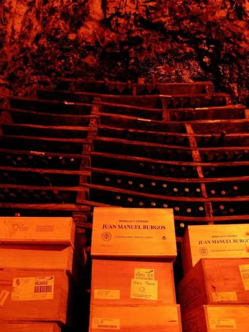 Aranda de Duero: Guided and Dramatized Visit to Medieval Wi - Exploring the Underground Cellars of Medieval Wineries