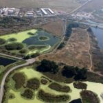 Arcata Wildlife Sanctuary: A Wildlife Walk Along Arcata Bay - Seasonal Birdwatching Opportunities at Arcata Bay