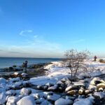 Archipelago Excursion from Helsinki with Lunch and Transportation - Exploring Porkkalanniemi: Forests, Rocky Shores, and Coastal Views