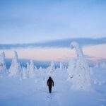 Arctic Adventure through Magical Frozen Forests of Riisitunturi - Riisitunturi: A Photogenic Arctic Wonderland
