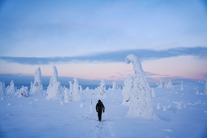 Arctic Adventure through Magical Frozen Forests of Riisitunturi - Riisitunturi: A Photogenic Arctic Wonderland