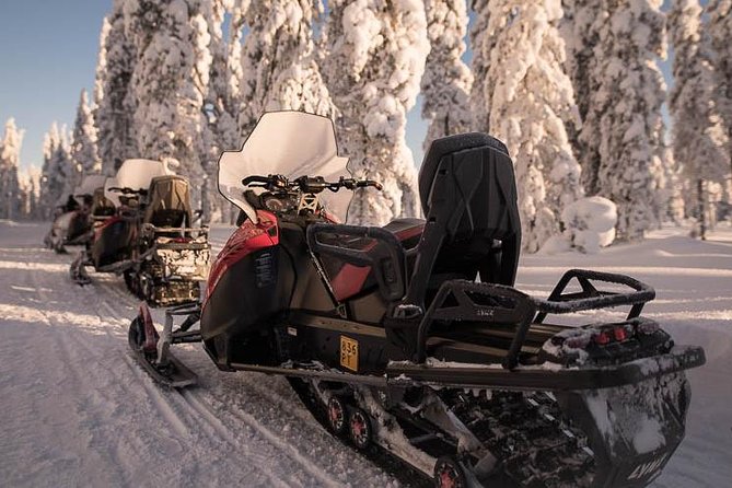Arctic Circle Snowmobile Safari for Beginners in Rovaniemi - Learning to Drive: Guidance for Beginners