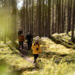 Arctic Hiking with Lappish Dogs - What the Arctic Hiking with Lappish Dogs Involves