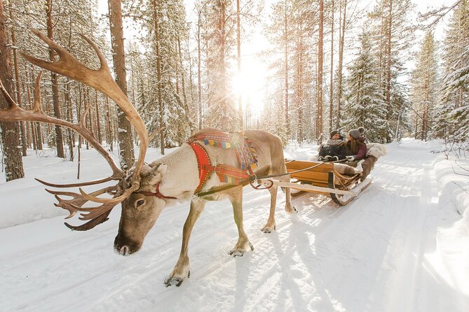 Arctic Huskies and Reindeers Fun in Rovaniemi - Meeting Point and Transportation in Rovaniemi