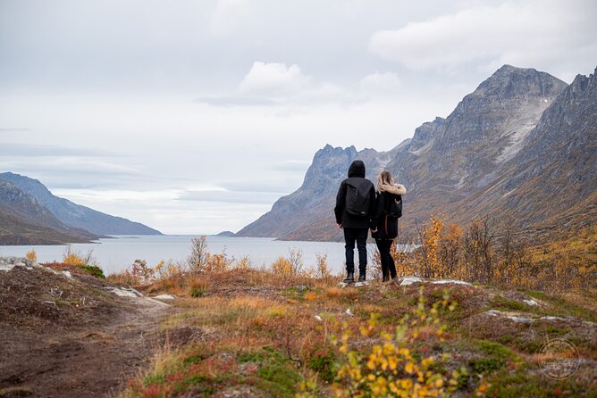 Arctic Roadtrip: fjords with scenic picnic | Sightseeing - The Unique Stop at Kvaløya Island