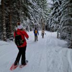 Arctic Snowshoe Hike in Norway - Equipment Provided and Physical Requirements