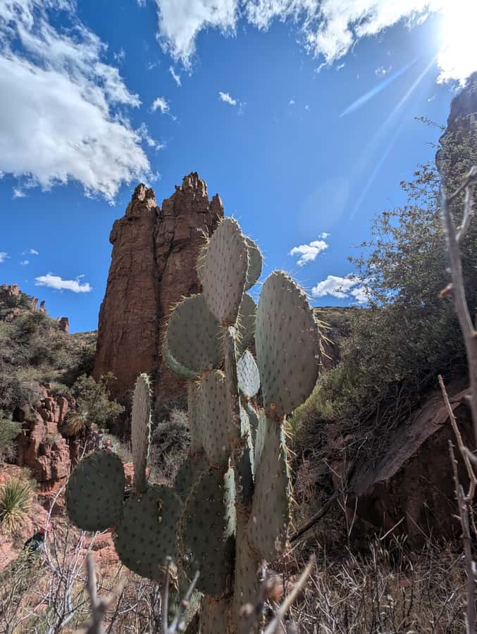 Arizona: Hog Canyon Rappelling and Rock Climbing Tour - Rappelling Down the 100-Foot Cliff in Hog Canyon