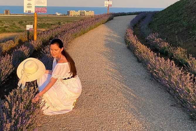 Aroma sampling of 5 Bulgarian Lavender varieties at DiVes Winery - What You Will Learn About Bulgaria’s Lavender Industry