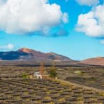 Arrecife: Timanfaya and Green Lagoon for Cruise Passengers - Exploring Timanfaya National Park’s Fiery Lava Fields