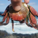 Arround Gran Canaria All Highlights Private Shore Excursion - Discovering Las Dunas de Maspalomas’ Moonlike Landscape