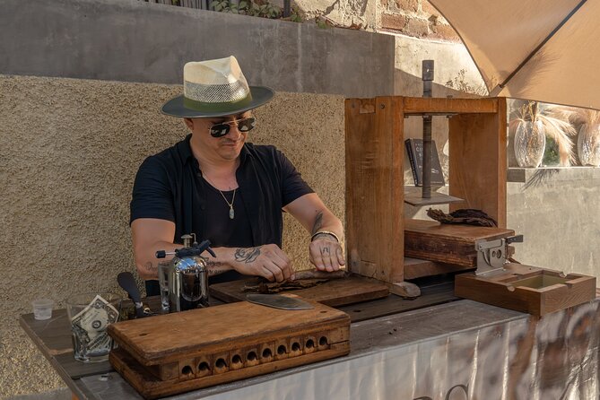 Art and Wine Evening City tour in San Jose del Cabo for Adults - Scenic Drive Along Cabo Coastline