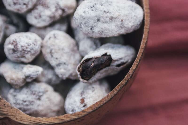 Artisanal Mexican Chocolate Tasting - The Setting: Tulum’s La Veleta Neighborhood Tasting Room