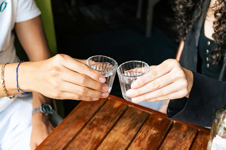 Artisanal Mezcal Tasting: Unique Flavors in CDMX - Exploring the Origin: San Dionisio Ocotepec Mezcals