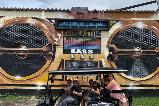 Artist Lead VIP Golf Cart Graffiti Tour - 2-5 ppl - Discover Wynwood’s Street Art in a Private Golf Cart