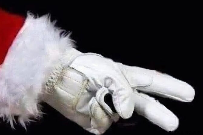 Asheville Holiday Season City Tour - Exploring Asheville’s Festively Decorated Neighborhoods