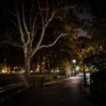 Asheville: Terrors, Boos and Booze Haunted Pub Crawl - Exploring Asheville’s Haunted Venues