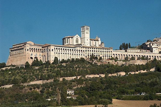 Assisi and Orvieto from Rome: Enjoy a Full Day Tour in Umbria - Visiting the Basilica of Saint Francis and the Town’s Charm