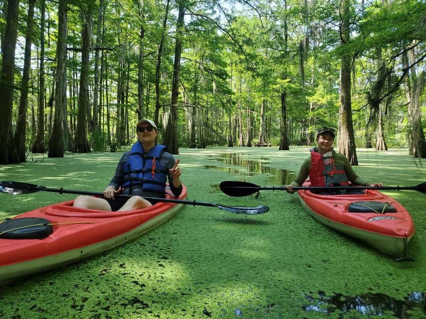Atchafalaya Basin: 2.5 Hr. Guided Kayak Tour - The Meeting Point and Practical Considerations
