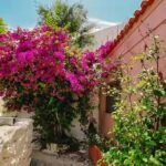 Athens Beauty 4h Private Walking tour - Walking Through the Old Streets of Plaka