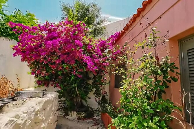 Athens Beauty 4h Private Walking tour - Walking Through the Old Streets of Plaka