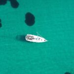 Athens Private Morning Sailing Cruise with Greek Gastronomy - Vouliagmeni Beach and Its Historic Charm