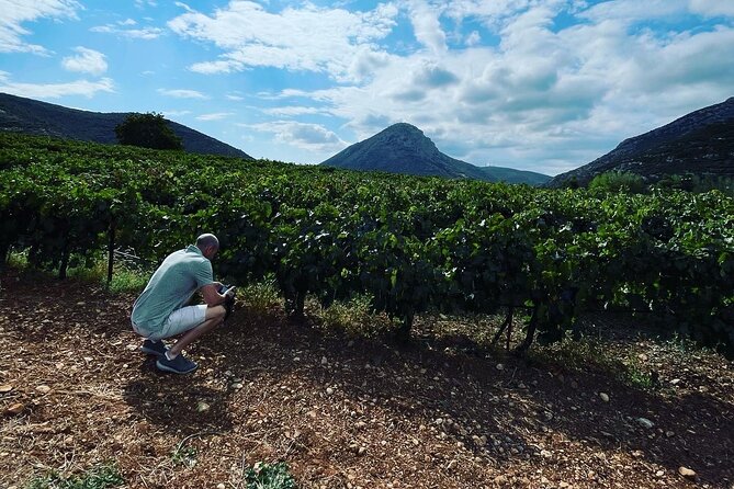 Athens Wine Tour with Wine Expert - The Expertise of the Guide: Ioanna’s Role