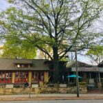 Atlanta: Food & Cocktail Tour - A Taste of Midtown: Curated Culinary Stops