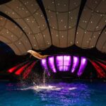 Atlanta: Georgia Aquarium Skip-the-Box-Office Entry Ticket - How Priority Access Enhances Your Visit to the Georgia Aquarium