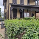 Atlanta: Guided Walking Tour of the Martin Luther King Jr District (in French) - Starting Point at the Martin Luther King, Jr. National Historical Park