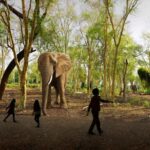 Atlanta: The Illuminarium Day Pass - Explore Space in "A Journey to the Moon & Beyond"