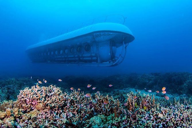 Atlantis Submarine from Kona Beach - The Kona Underwater Environment and Water Clarity