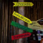 ATV 4×4+Snorkeling+Beach Club+ Lunch+Sabores de Cozumel - Starting Point and Transportation Convenience