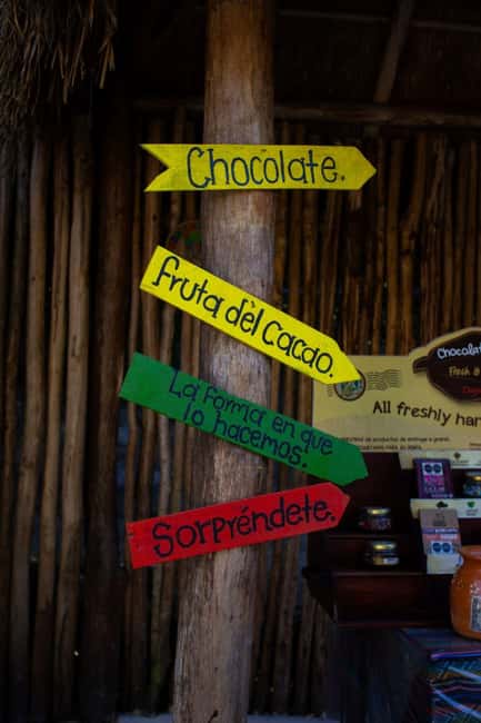 ATV 4×4+Snorkeling+Beach Club+ Lunch+Sabores de Cozumel - Starting Point and Transportation Convenience