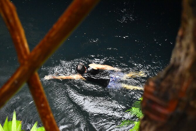 Atv Tour In Cancun (swim Cenote, Tarzan Jump And 5 Ziplines Included) - Pickup from Cancun, Tulum, or Playa del Carmen