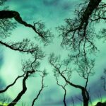 Aurora Adventure Tour with Creative Vacations - What’s Included in the Aurora Adventure Tour