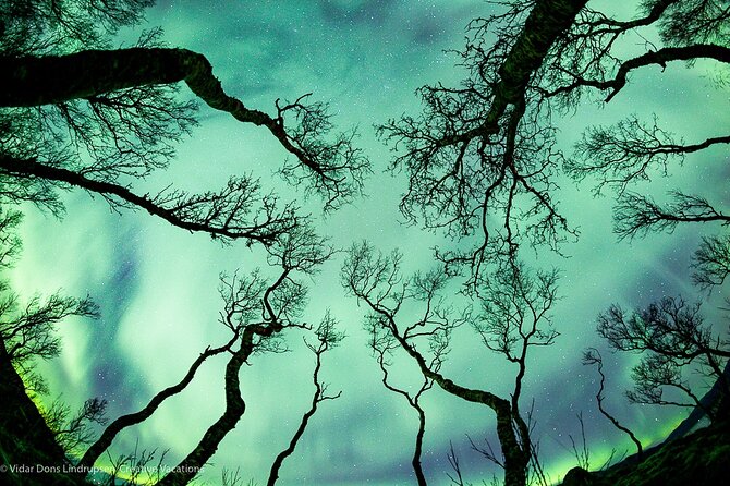 Aurora Adventure Tour with Creative Vacations - What’s Included in the Aurora Adventure Tour